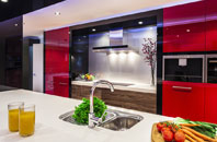 Newbury Park kitchen extensions